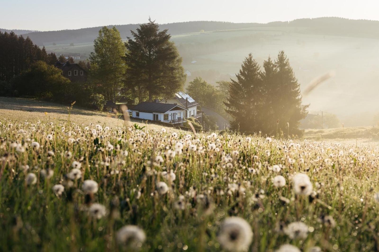 Chalet Panor'Anna Санкт Вит Экстерьер фото